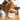 FOOTER Zensox Essentials Pack – Pick 3 Socks (T100)  + Get 3 Gifts Free (RM99 Deal)